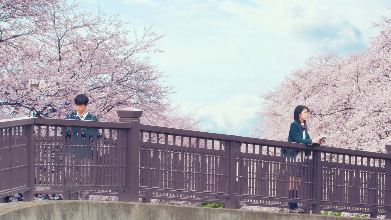 Let Me Eat Your Pancreas